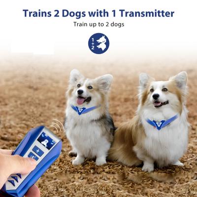 Show full view: Petdiary T240 Static Remote Rechargeable Dog Training Collar, Blue, Small slide 3 of 9