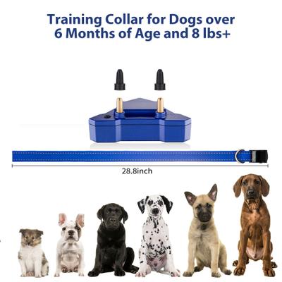 Show full view: Petdiary T240 Static Remote Rechargeable Dog Training Collar, Blue, Small slide 7 of 9