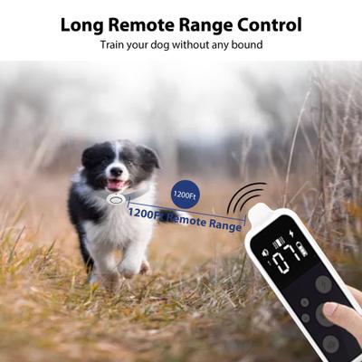 Show full view: Petdiary T250 Static Rechargeable Remote Dog Training Collar, White & Black, Small slide 3 of 9