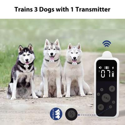 Show full view: Petdiary T250 Static Rechargeable Remote Dog Training Collar, White & Black, Small slide 4 of 9