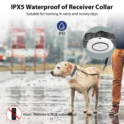 Show full view: Petdiary T250 Static Rechargeable Remote Dog Training Collar, White & Black, Small slide 5 of 9