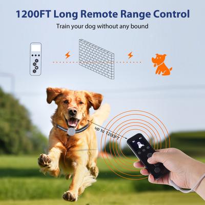 Show full view: Petdiary T260 Static Remote Rechargeable Dog Training Collar, Black, Small slide 3 of 10