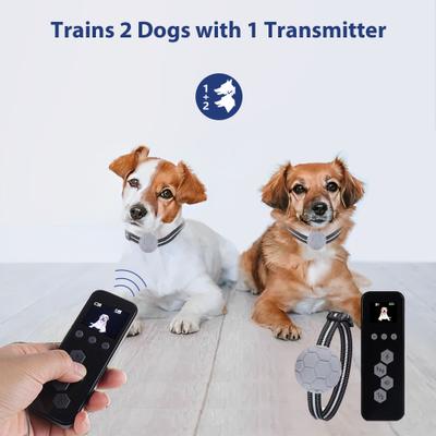 Show full view: Petdiary T260 Static Remote Rechargeable Dog Training Collar, Black, Small slide 4 of 10