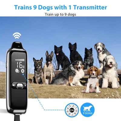 Show full view: Petdiary T300 Waterproof Dog Remote Training Collar, Black slide 3 of 11