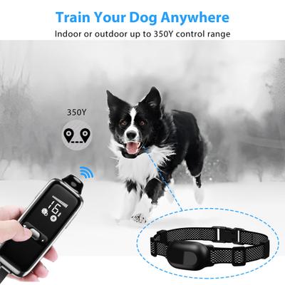 Show full view: Petdiary T300 Waterproof Dog Remote Training Collar, Black slide 4 of 11