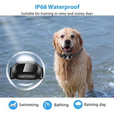 Show full view: Petdiary T300 Waterproof Dog Remote Training Collar, Black slide 5 of 11