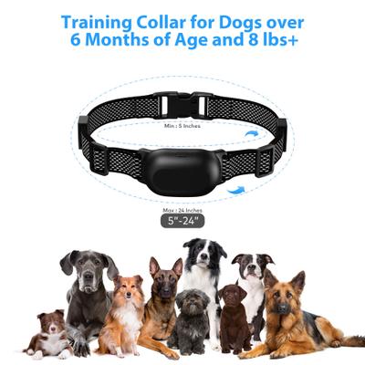 Show full view: Petdiary T300 Waterproof Dog Remote Training Collar, Black slide 6 of 11