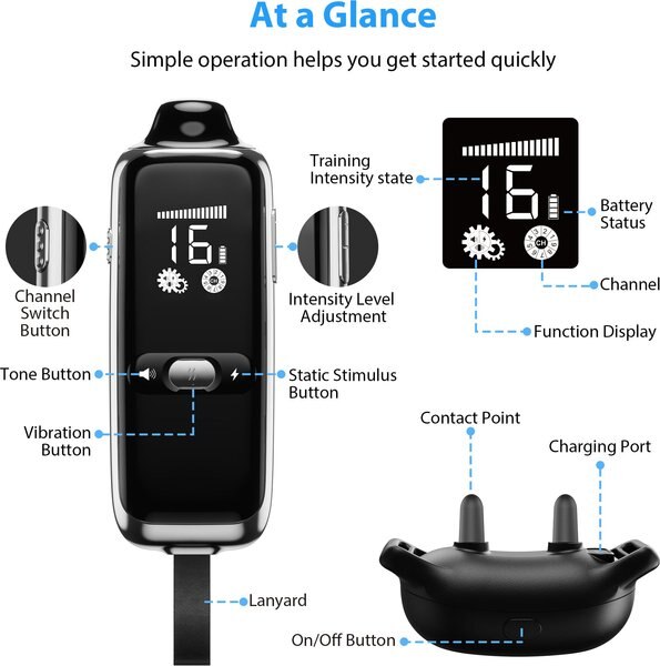 Petdiary T300 Waterproof Dog Remote Training Collar, Black