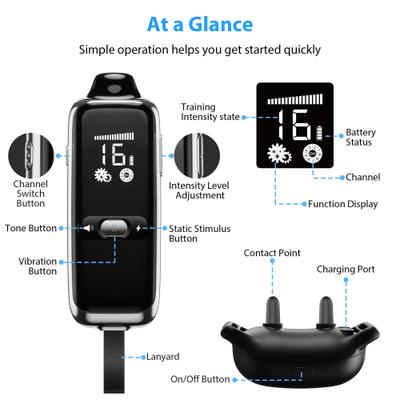 Show full view: Petdiary T300 Waterproof Dog Remote Training Collar, Black slide 7 of 11