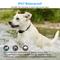 Show in main carousel: Petdiary T330 Waterproof Dog Remote Training Collar, Black slide 4 of 11