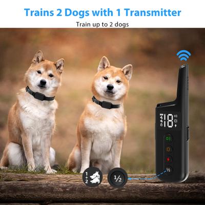 Show full view: Petdiary T330 Waterproof Dog Remote Training Collar, Black slide 5 of 11