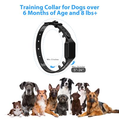 Show full view: Petdiary T330 Waterproof Dog Remote Training Collar, Black slide 7 of 11