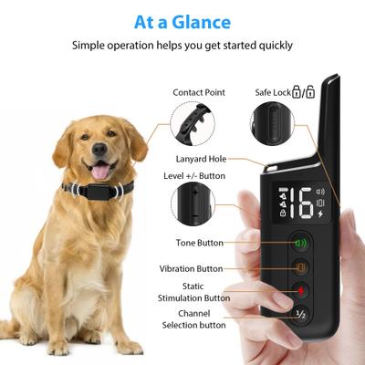 Show full view: Petdiary T330 Waterproof Dog Remote Training Collar, Black slide 8 of 11