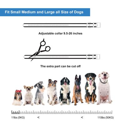 Show full view: Petdiary T500 Deterrent Spray Rechargable Remote Dog Training Collar, Black slide 7 of 10