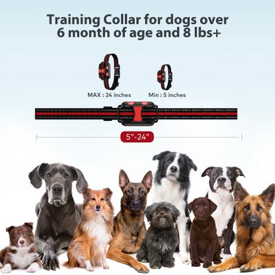Show full view: Petdiary T502 2600-ft Remote Dog Training Shock Collar System slide 5 of 9