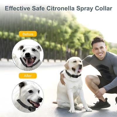 Show full view: Petdiary T510 Waterproof Deterrent Spray Rechargable Remote Dog Training Collar, Medium, Black slide 3 of 9