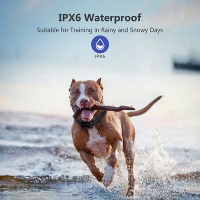 Show full view: Petdiary T720 3,000-ft Shock Dog Training Collar slide 5 of 12