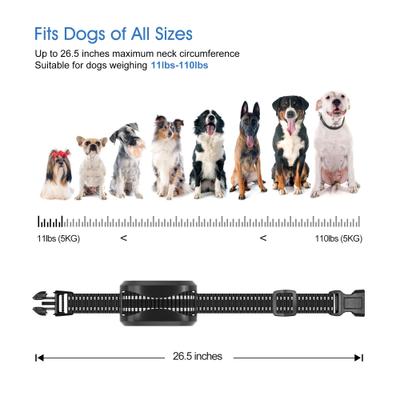 Show full view: Petdiary T730 Dog Training Collar & Receiver, Black, 1 count & 1 count slide 7 of 11