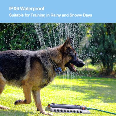 Show full view: Petdiary Vibration Dog Bark Collar, Small, Blue slide 4 of 10