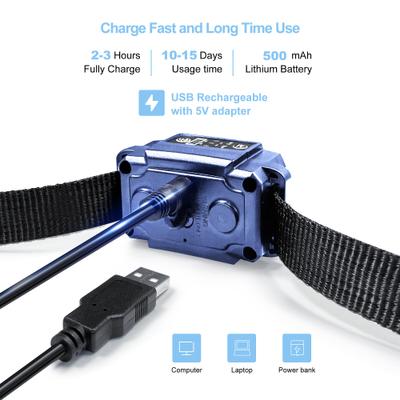 Show full view: Petdiary Vibration Dog Bark Collar, Small, Blue slide 6 of 10