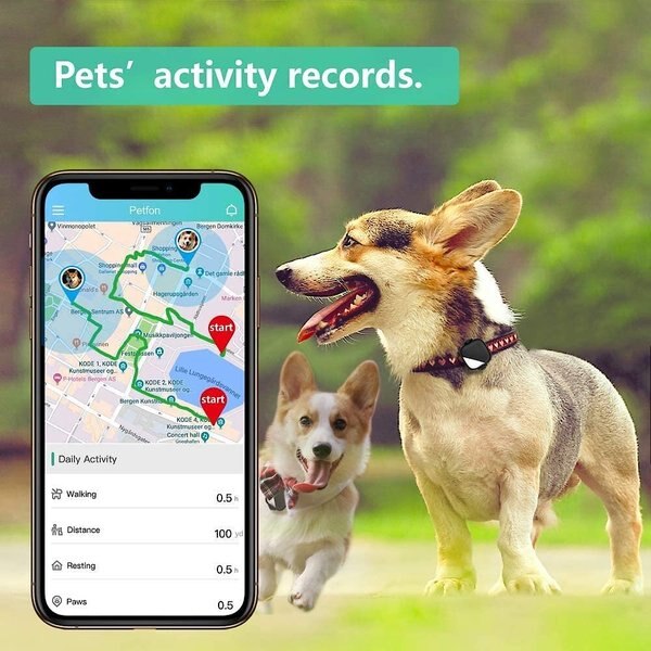 Petfon Smart Pet Multi-Dog GPS Tracker II, Blue
