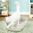 PetFusion BetterBox Non-Stick Cat Litter Box, 1 pack