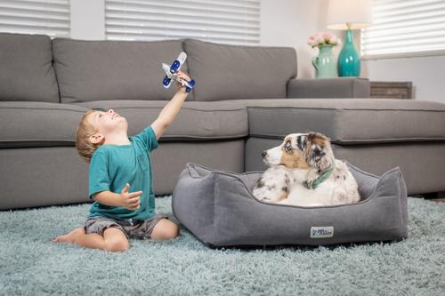 Show full view: PetFusion Calming Cuddler Dog Bed, Medium slide 6 of 7