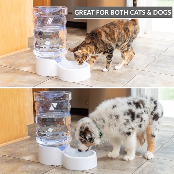 PetFusion H2O Gravity Dog & Cat Waterer