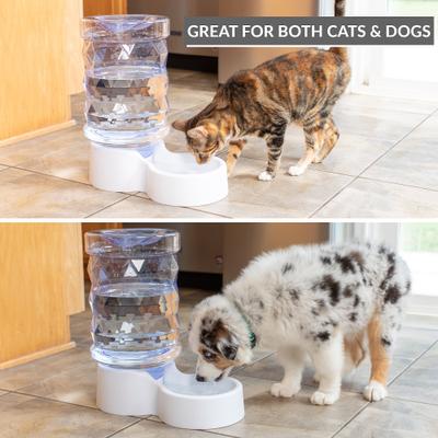 Show full view: PetFusion H2O Gravity Dog & Cat Waterer, 2-gal slide 3 of 6