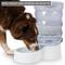 Show in main carousel: PetFusion H2O Gravity Dog & Cat Waterer, 2-gal slide 6 of 6
