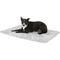 Show in main carousel: PetFusion Microplush Quilted Dog & Cat Blanket, Gray, Medium slide 3 of 9