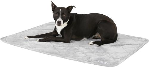 Show full view: PetFusion Microplush Quilted Dog & Cat Blanket, Gray, Medium slide 3 of 9