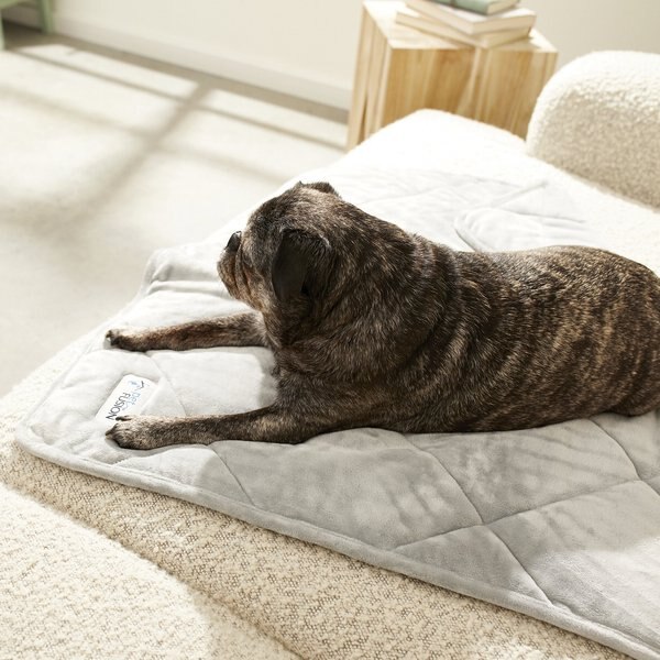 PetFusion Microplush Quilted Dog & Cat Blanket