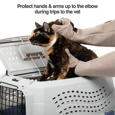 Show full view: PetFusion Multipurpose Five Finger Dog & Cat Grooming Gloves, Large slide 5 of 8