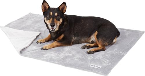 Show full view: PetFusion Premium Reversible Dog & Cat Blanket, Gray, Large slide 3 of 10