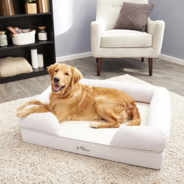 PETFUSION Ultimate Lounge Memory Foam Bolster Cat Dog Bed with - Main Image