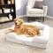 Show in main carousel: PetFusion Ultimate Lounge Memory Foam Bolster Cat & Dog Bed with Removable Cover, Sandstone, Large slide 1 of 9