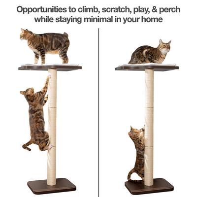 Show full view: PetFusion Ultimate Window Cat Perch slide 2 of 8