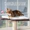 Show in main carousel: PetFusion Ultimate Window Cat Perch slide 4 of 8