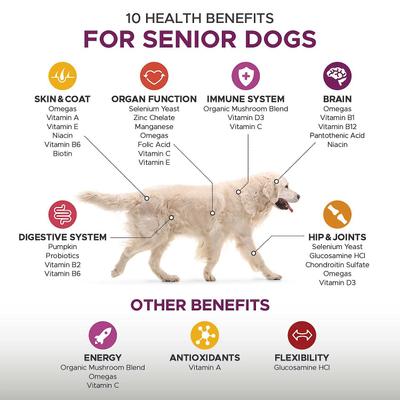 Show full view: PetHonesty Duck Flavored Soft Chews Multivitamin for Senior Dogs + Blue Buffalo Homestyle Recipe Senior Chicken Dinner with Garden Vegetables Canned Food slide 5 of 9