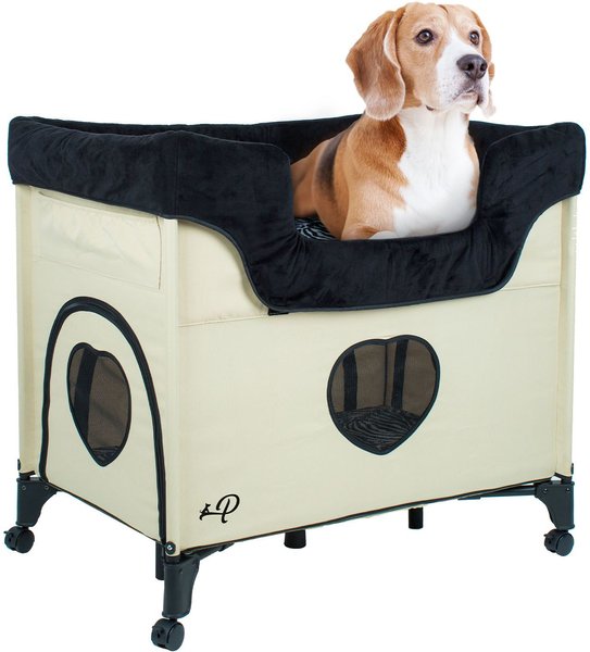 Amazon.com : SUPERJARE XLarge Outdoor Dog Bed, Elevated Pet