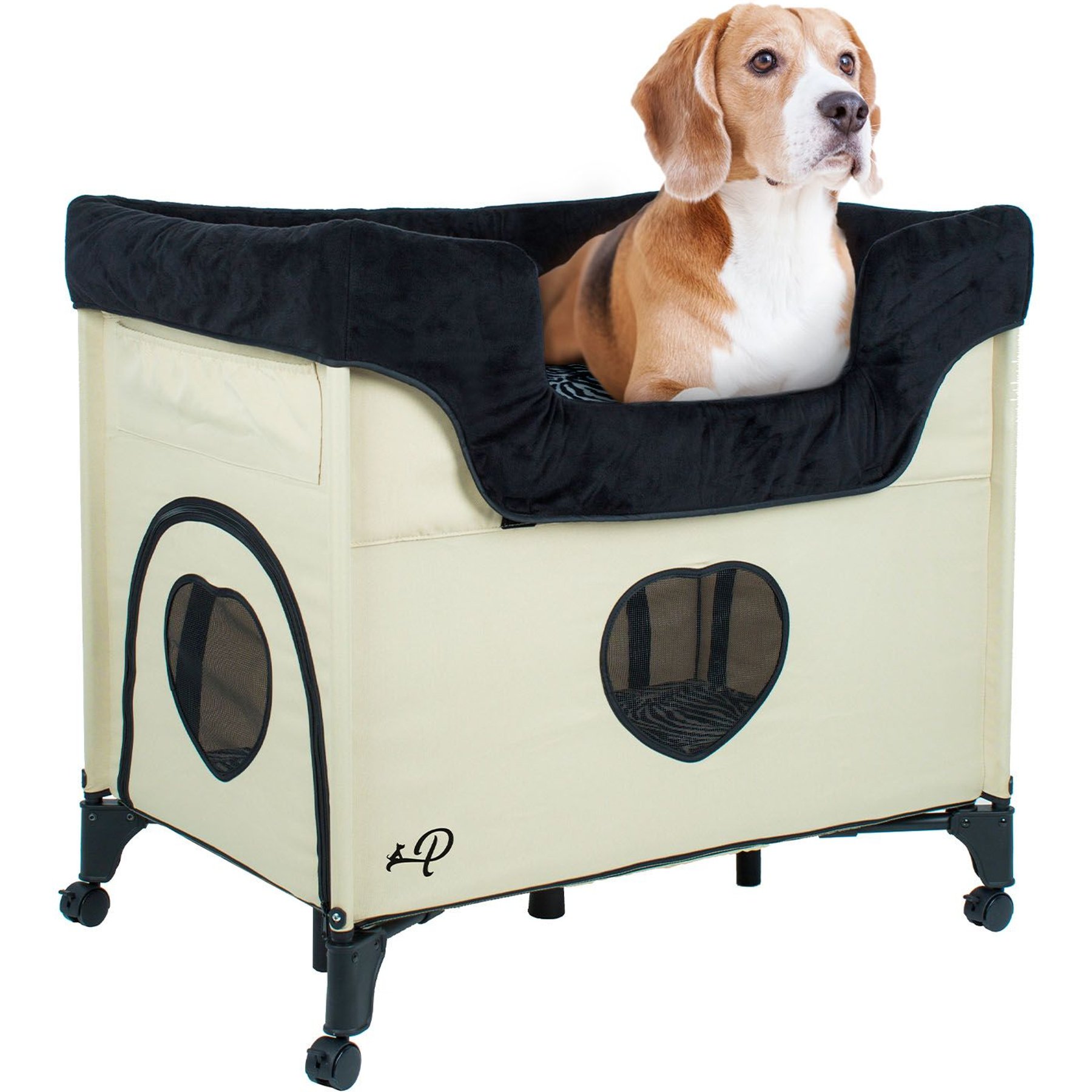 PETIQUE Bedside Lounge Elevated Dog Bed, Zebra Vibes - Chewy.com