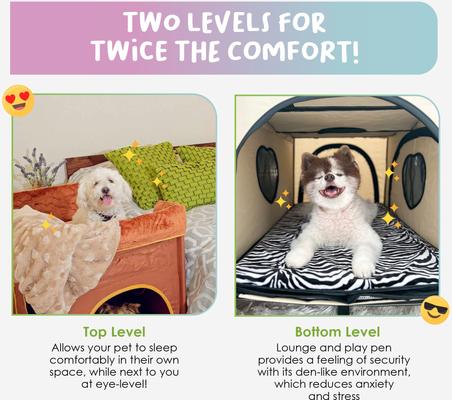 PETIQUE Bedside Lounge Elevated Dog Bed, Zebra Vibes