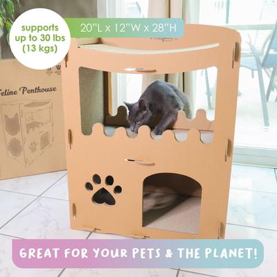 Show full view: Petique Feline Penthouse Cat Scratcher Toy slide 7 of 9