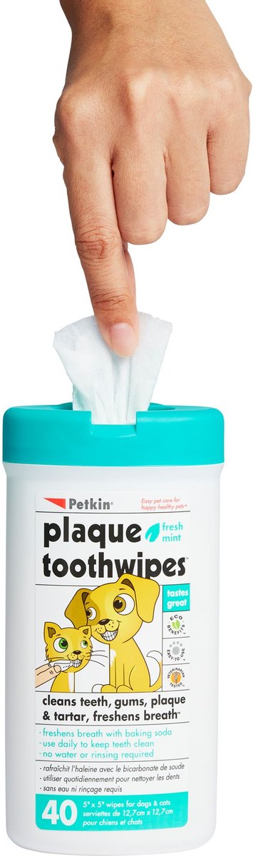 Petkin Plaque Toothwipes Fresh Mint Flavor Dog & Cat Dental Wipes