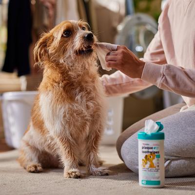 Show full view: Petkin Plaque Toothwipes Fresh Mint Flavor Dog & Cat Dental Wipes, 40 count slide 5 of 8