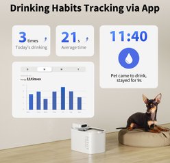 PETKIT Eversweet Max Stainless-Steel Smart Drinking Cat Water Fountain, White slide 2 of 8