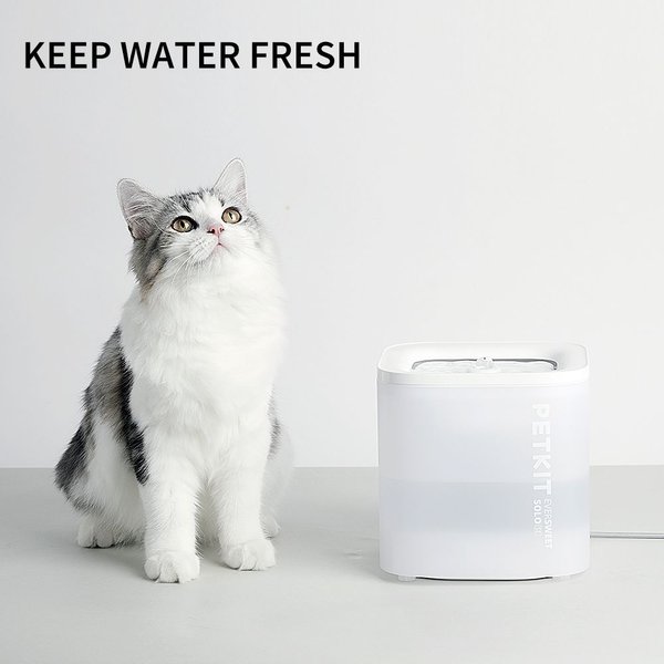 Show full view: PETKIT Eversweet Solo Se Plastic Dog & Cat Fountain Pump, 1.8L slide 6 of 9