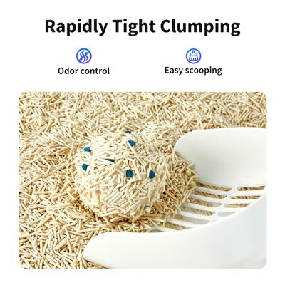 Show full view: PETKIT Flushable Occult Blood Test Unscented Clumping Tofu Cat Litter, 5.2-lb bag, case of 2 slide 5 of 10