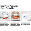 Show in main carousel: PETKIT Fresh Element Solo Automatic Dog & Cat Feeder, 3L slide 9 of 10